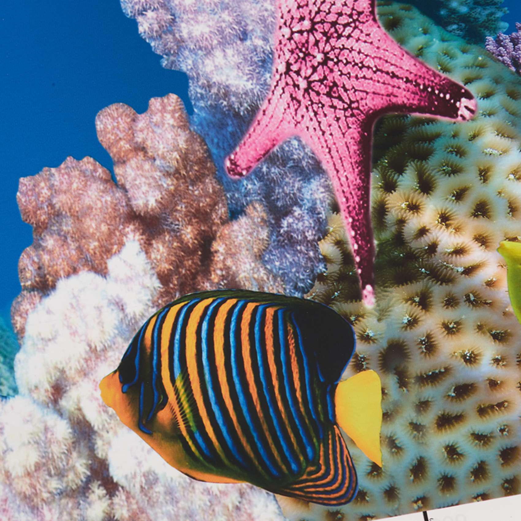 Aquarium Fish Wallpaper Hd - ABWR-กระดาษพื้นหลังตู้ปลา ภาพ HD 7D วอลเปเปอร์ตู้ปลาสามมิติ ภาพพื้นหลังแบบวาดได้