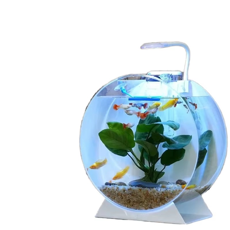Aquarium Fish For Sale - ตู้ปลาอะคริลิคทันสมัยเป็นมิตรกับสิ่งแวดล้อม ลดราคาพิเศษ มีหลายขนาด เหมาะสำหรับวางบนโต๊ะทำงาน ห้องนั่งเล่น ห้องรับประทานอาหาร