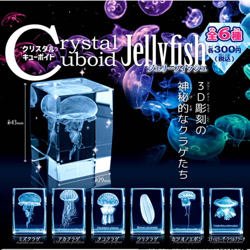 Aquarium Fish Japan - Gashapon แมงกะพรุน3D คริสตัลทรงลูกบาศก์จากญี่ปุ่นรูปปลาพิพิธภัณฑ์สัตว์น้ำน่ารักน่ารักแคปซูลของเล่นอะนิเมะของขวัญตกแต่ง