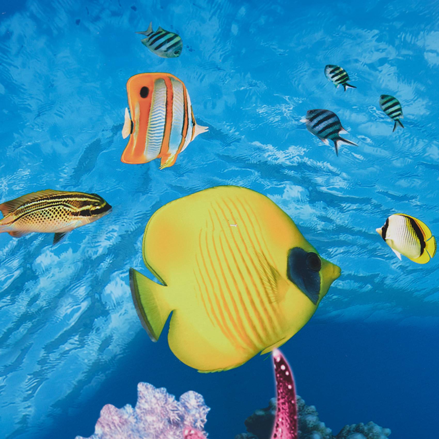 Aquarium Fish Wallpaper Hd - กระดาษตกแต่งตู้ปลา BAAU ภาพ HD 7D วอลเปเปอร์ตู้ปลาสามมิติ