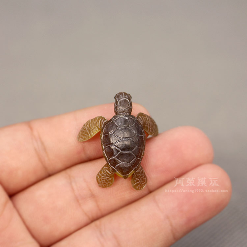 Aquarium Fish Japan - Marine Life Sea Turtle ชุดเครื่องประดับ Ocean