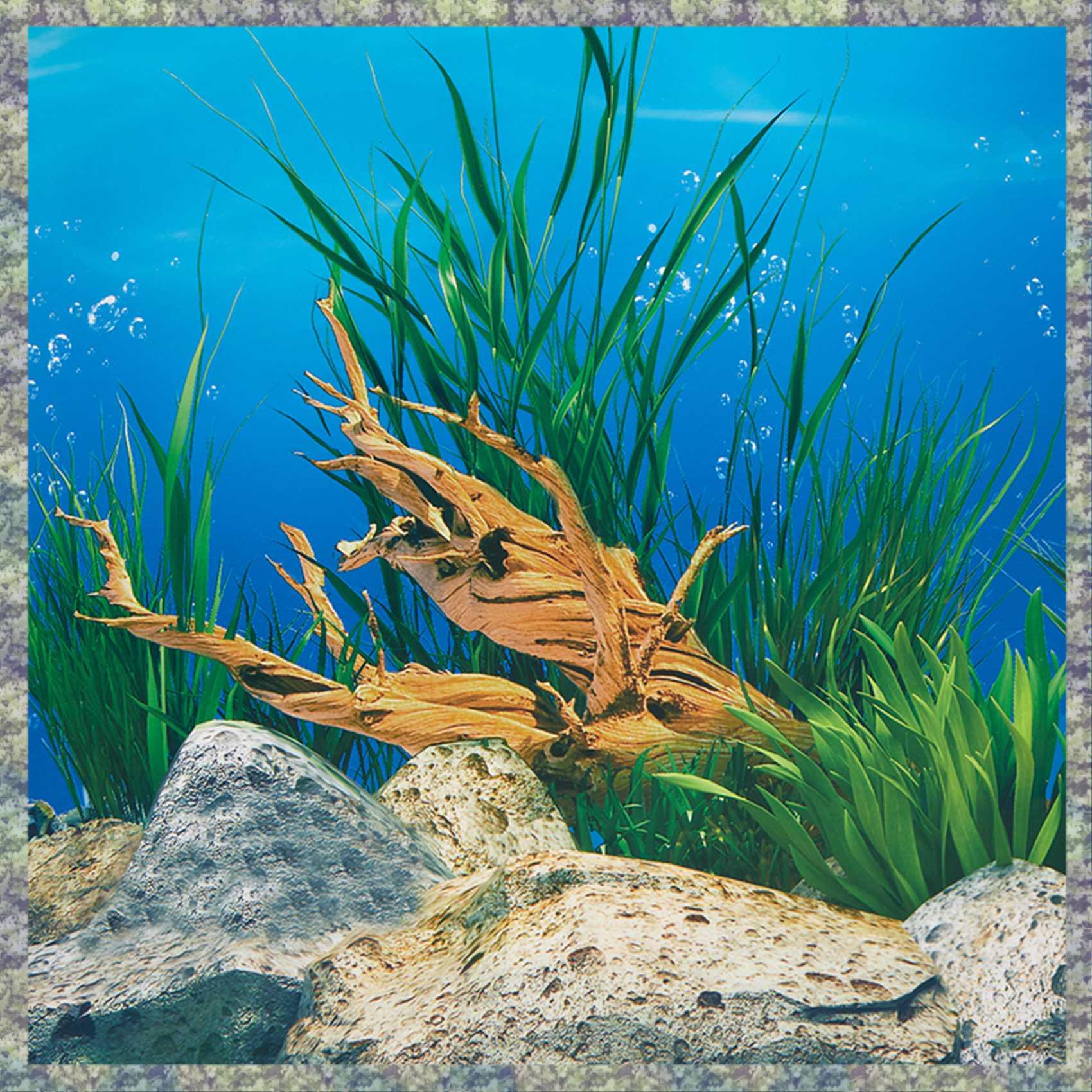 Aquarium Fish Wallpaper Hd - WON Aquarium พื้นหลังกระดาษ HD ภาพ 7D