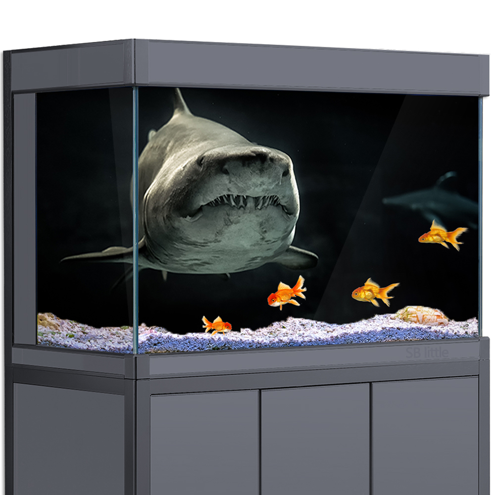 Aquarium Fish Wallpaper Hd - พิพิธภัณฑ์สัตว์น้ําพื้นหลัง 3D Shark Black Dark Sea