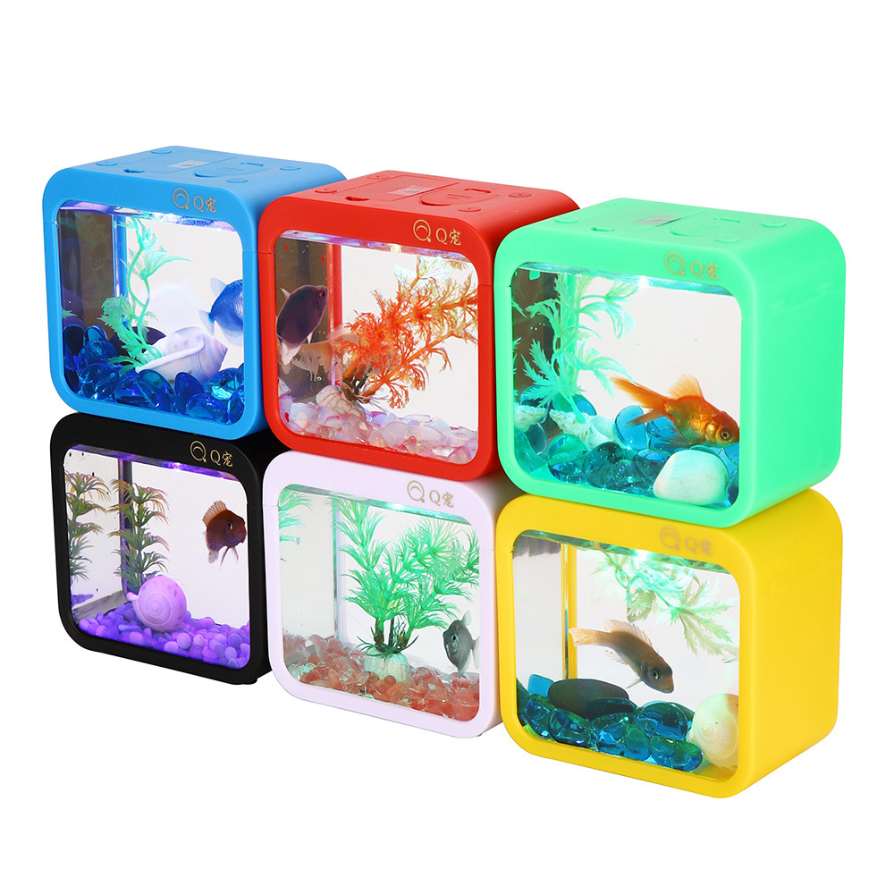 กล่อง Betta สร้างสรรค์สีสันสดใ - Aquarium Goldfish บทวิจารณ์และราคา