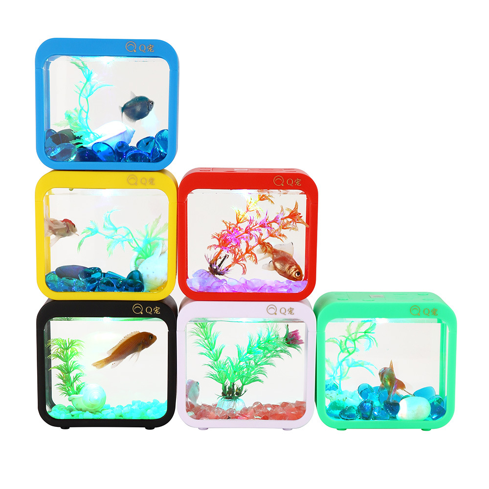 กล่อง Betta สร้างสรรค์สีสันสดใ - Aquarium Goldfish บทวิจารณ์และราคา