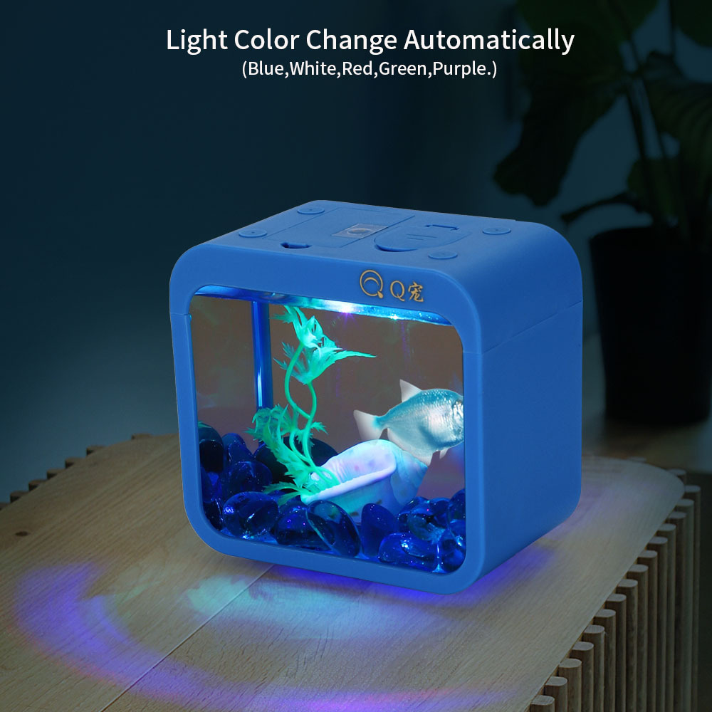กล่อง Betta สร้างสรรค์สีสันสดใ - Aquarium Goldfish บทวิจารณ์และราคา