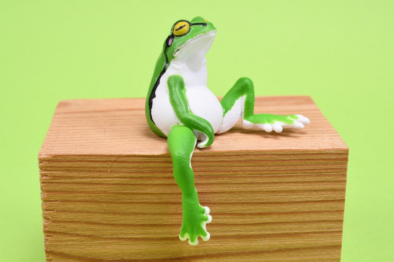 ของเล่นแคปซูล YELL กบต้นไม้น่า - Aquarium Fish Japan บทวิจารณ์และราคา