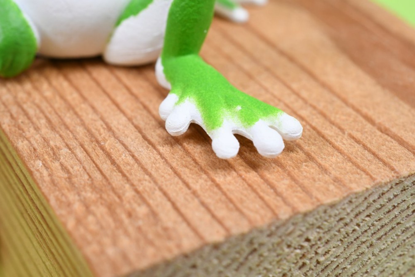 ของเล่นแคปซูล YELL กบต้นไม้น่า - Aquarium Fish Japan บทวิจารณ์และราคา