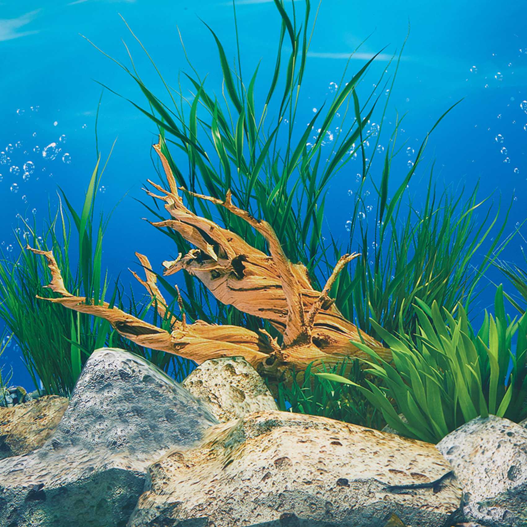 ABWR-กระดาษพื้นหลังตู้ปลา ภาพ  - Aquarium Fish Wallpaper Hd บทวิจารณ์และราคา