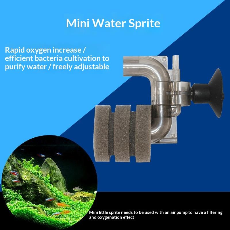 ลดราคา-ฟิลเตอร์ฟองน้ำตู้ปลาขนา - Aquarium Fish For Sale บทวิจารณ์และราคา
