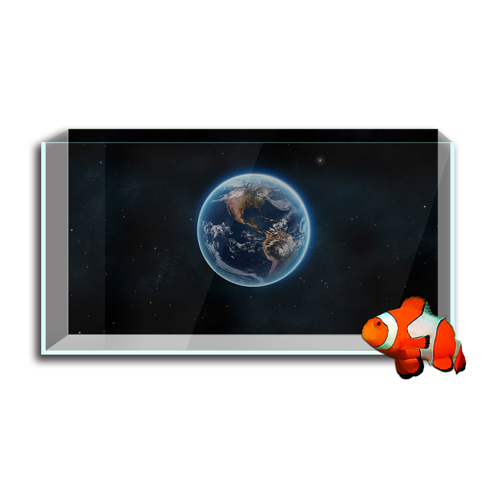 Aquarium Fish Tank สติ๊กเกอร์ต - Aquarium Fish Wallpaper Hd บทวิจารณ์และราคา