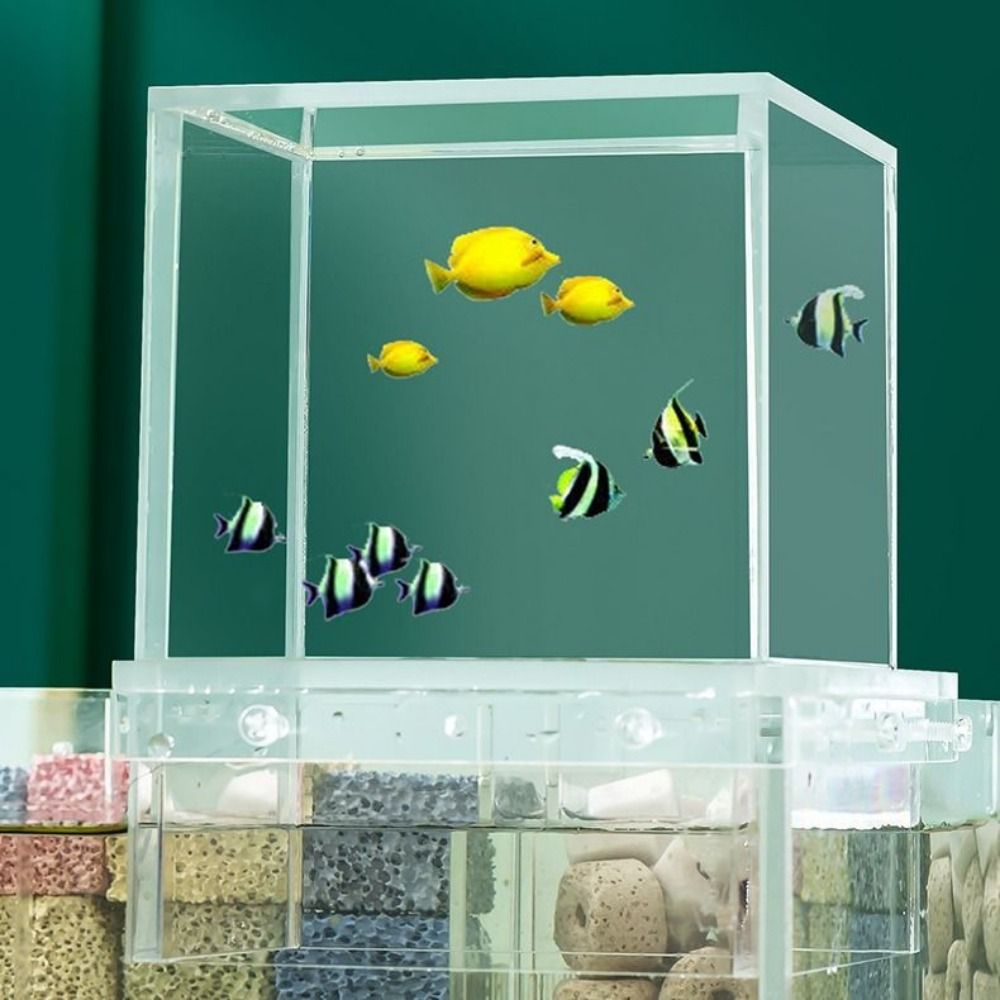 ตู้ปลาแรงดันลบแบบจัดสวนภูมิทัศ - Aquarium Goldfish บทวิจารณ์และราคา