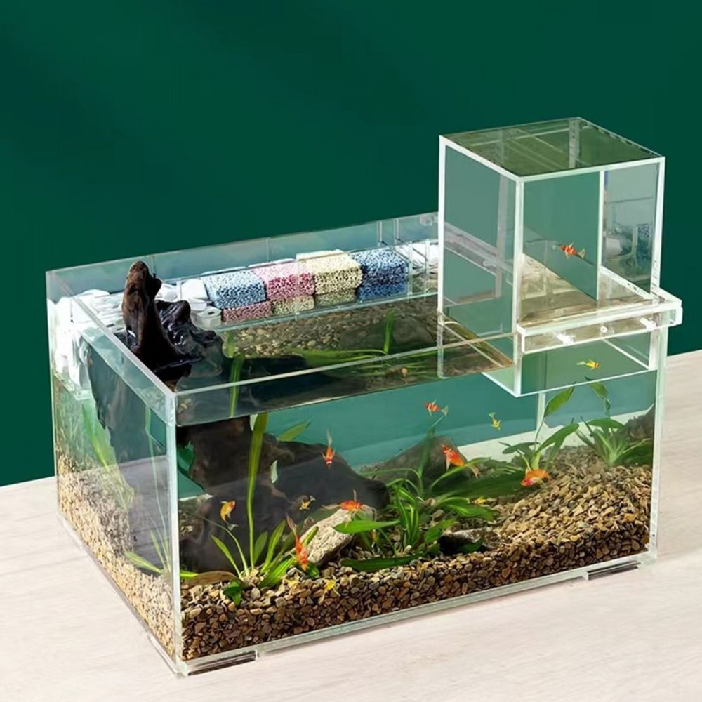 ตู้ปลาแรงดันลบแบบจัดสวนภูมิทัศ - Aquarium Goldfish บทวิจารณ์และราคา