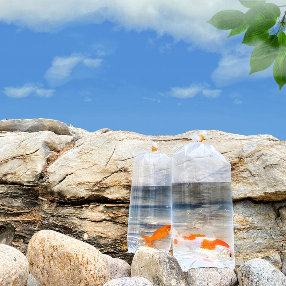 ถุงพลาสติกสำหรับส่งปลา 10 ชิ้น - Aquarium Fish Delivery บทวิจารณ์และราคา