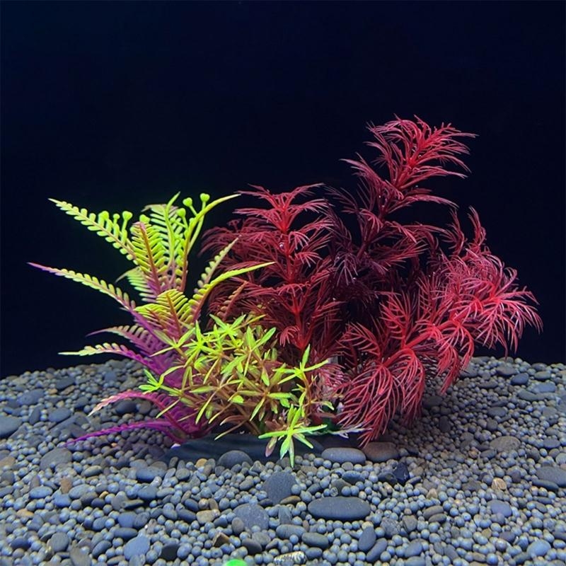 ต้นไม้ประดับตู้ปลา ของตกแต่งตู - Aquarium Fish For Sale บทวิจารณ์และราคา