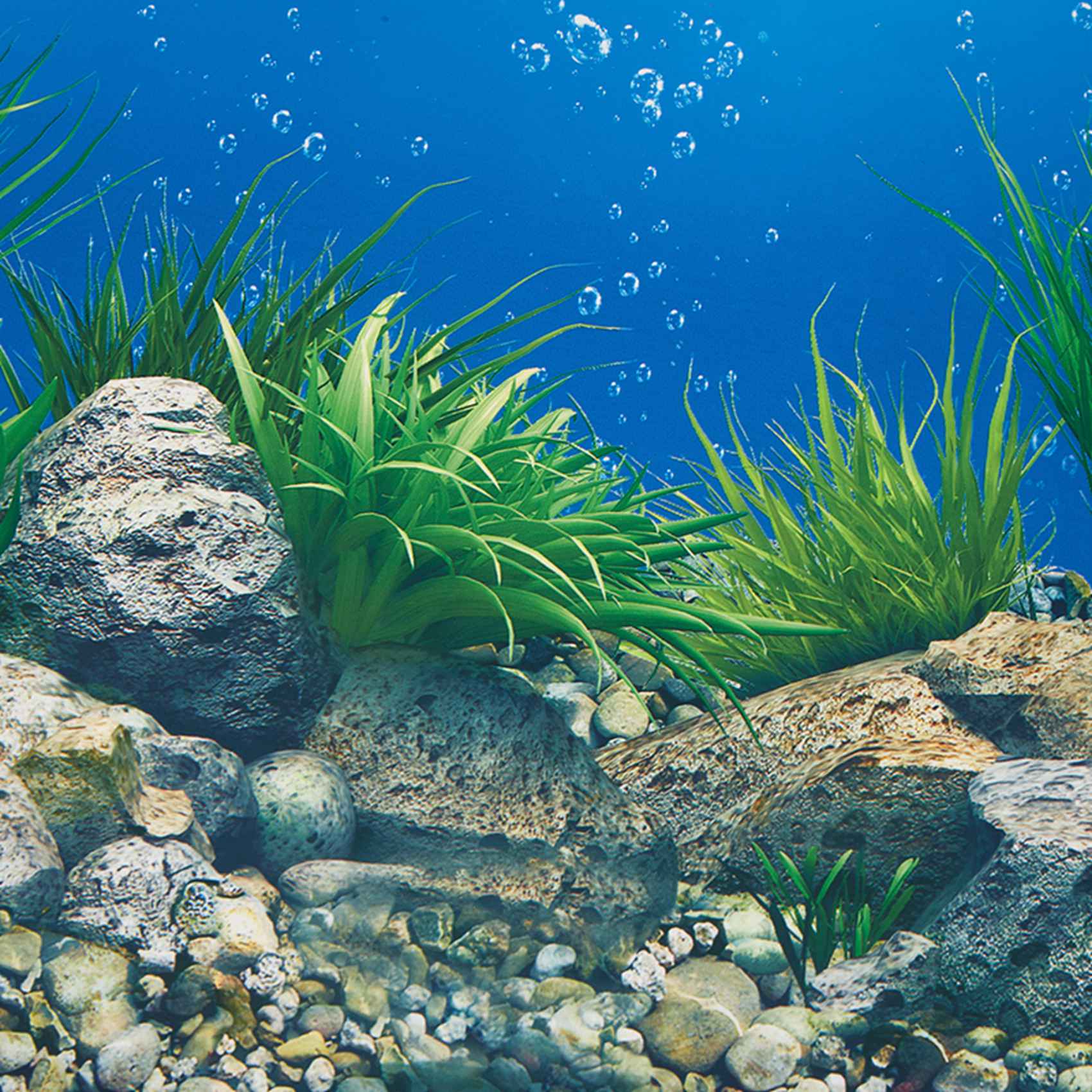 กระดาษตกแต่งตู้ปลา A77I ภาพควา - Aquarium Fish Wallpaper Hd บทวิจารณ์และราคา