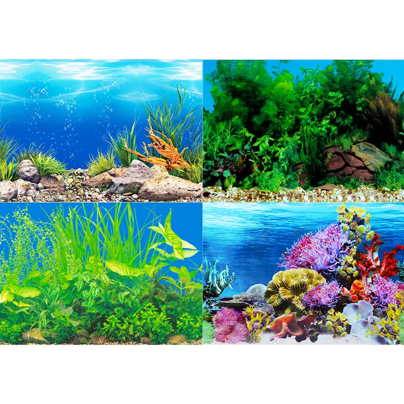 ถังปลาพื้นหลังสติกเกอร์ภาพวาด  - Aquarium Fish Wallpaper Hd บทวิจารณ์และราคา