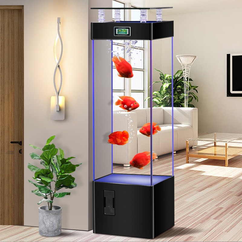 ตู้ปลากระจกใสพิเศษ ไม่ต้องเปลี - Aquarium Goldfish บทวิจารณ์และราคา