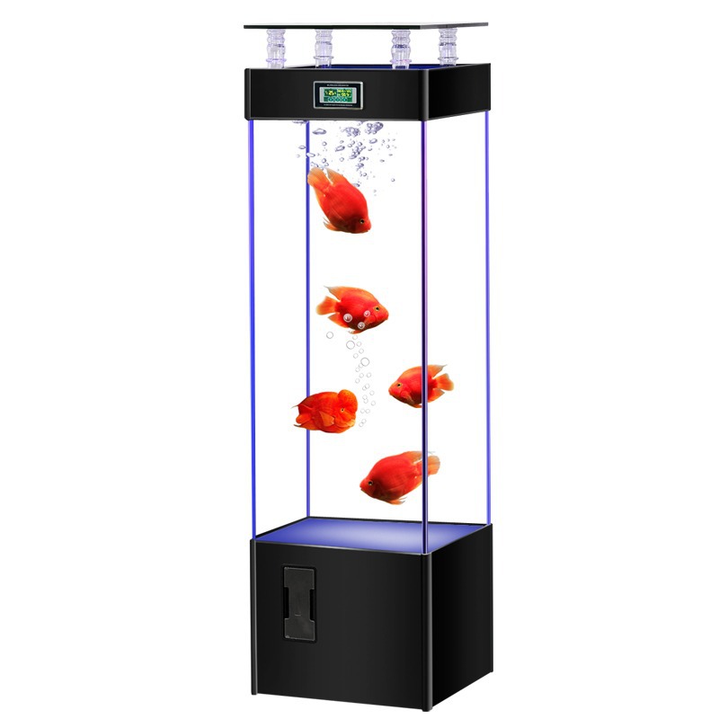 ตู้ปลากระจกใสพิเศษ ไม่ต้องเปลี - Aquarium Goldfish บทวิจารณ์และราคา