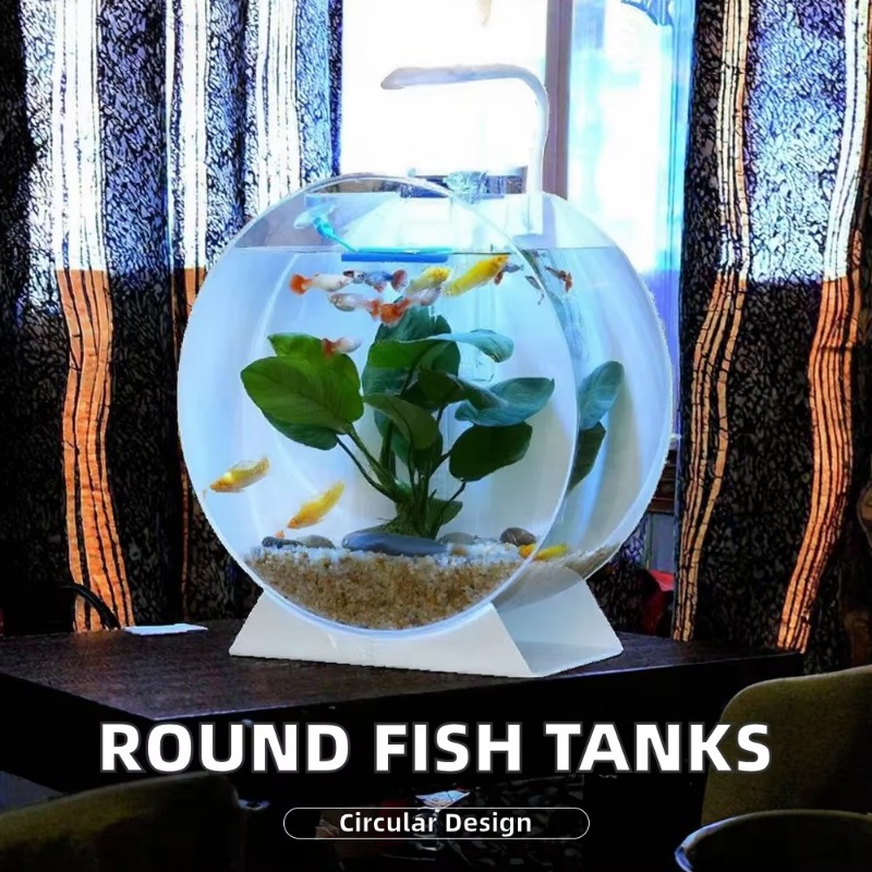 ตู้ปลาอะคริลิคทันสมัยเป็นมิตรก - Aquarium Fish For Sale บทวิจารณ์และราคา