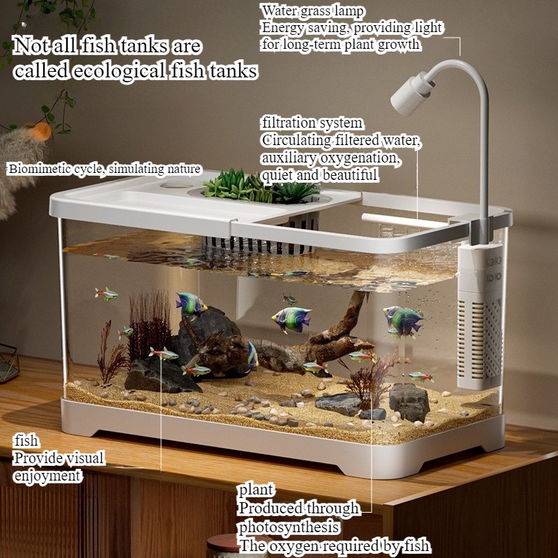 ตู้ปลาสำหรับใช้ในบ้าน ตู้ปลาตั - Aquarium Goldfish บทวิจารณ์และราคา