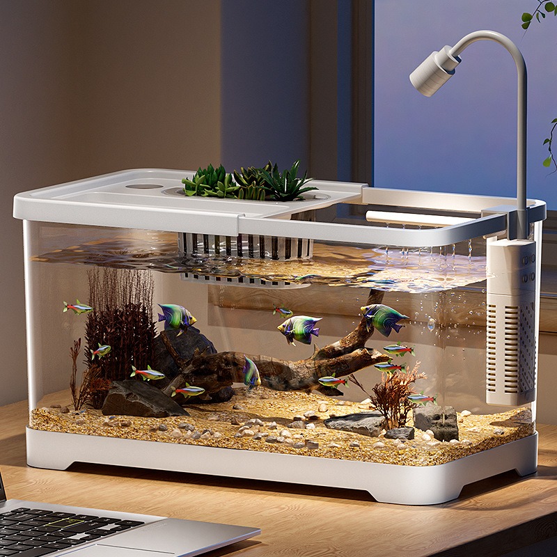 ตู้ปลาสำหรับใช้ในบ้าน ตู้ปลาตั - Aquarium Goldfish บทวิจารณ์และราคา