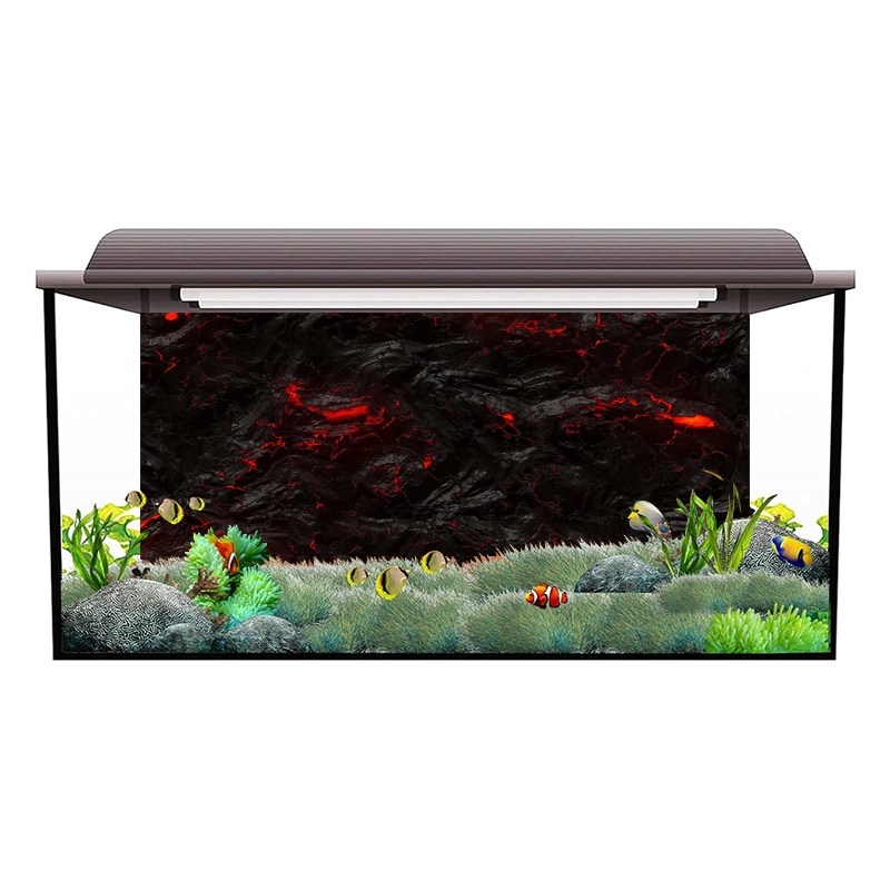 สติ๊กเกอร์ติดผนังลายหินลาวาสำห - Aquarium Fish Wallpaper Hd บทวิจารณ์และราคา