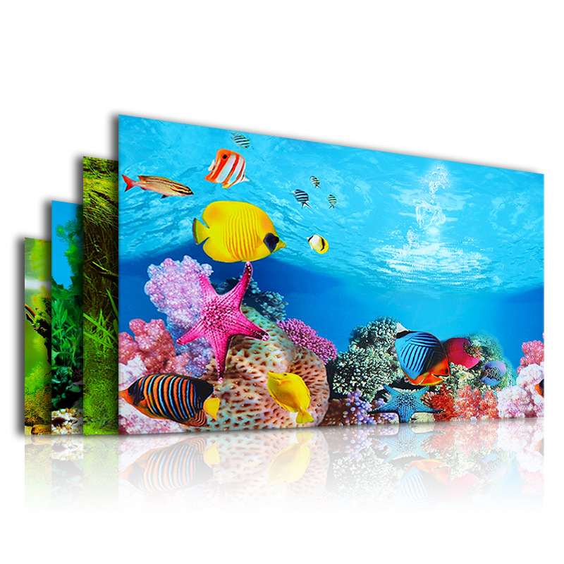 พื้นหลัง 3D สําหรับพิพิธภัณฑ์ส - Aquarium Fish Wallpaper Hd บทวิจารณ์และราคา