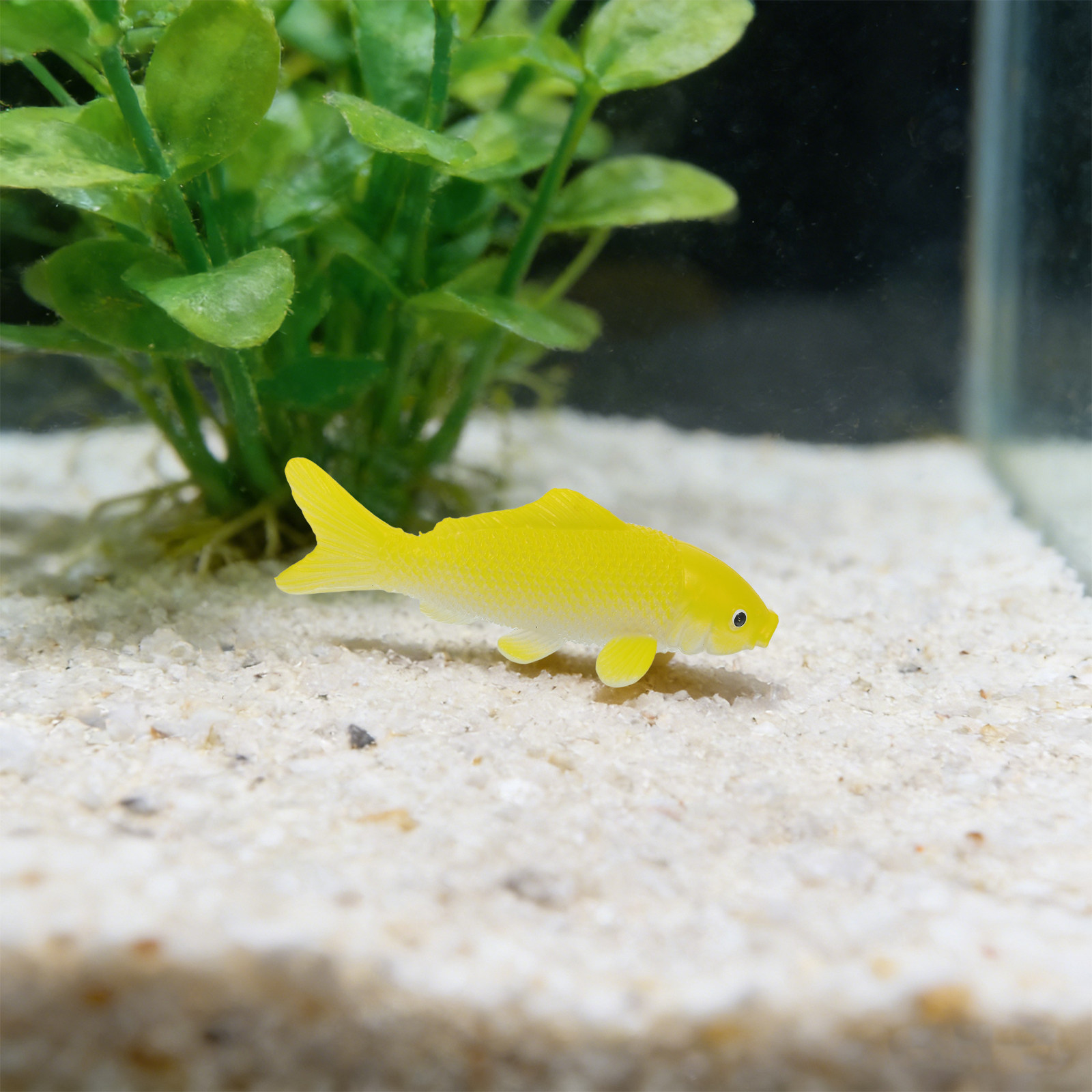 ของเล่นปลาประดิษฐ์ 3 ชิ้น รูปป - Aquarium Goldfish บทวิจารณ์และราคา