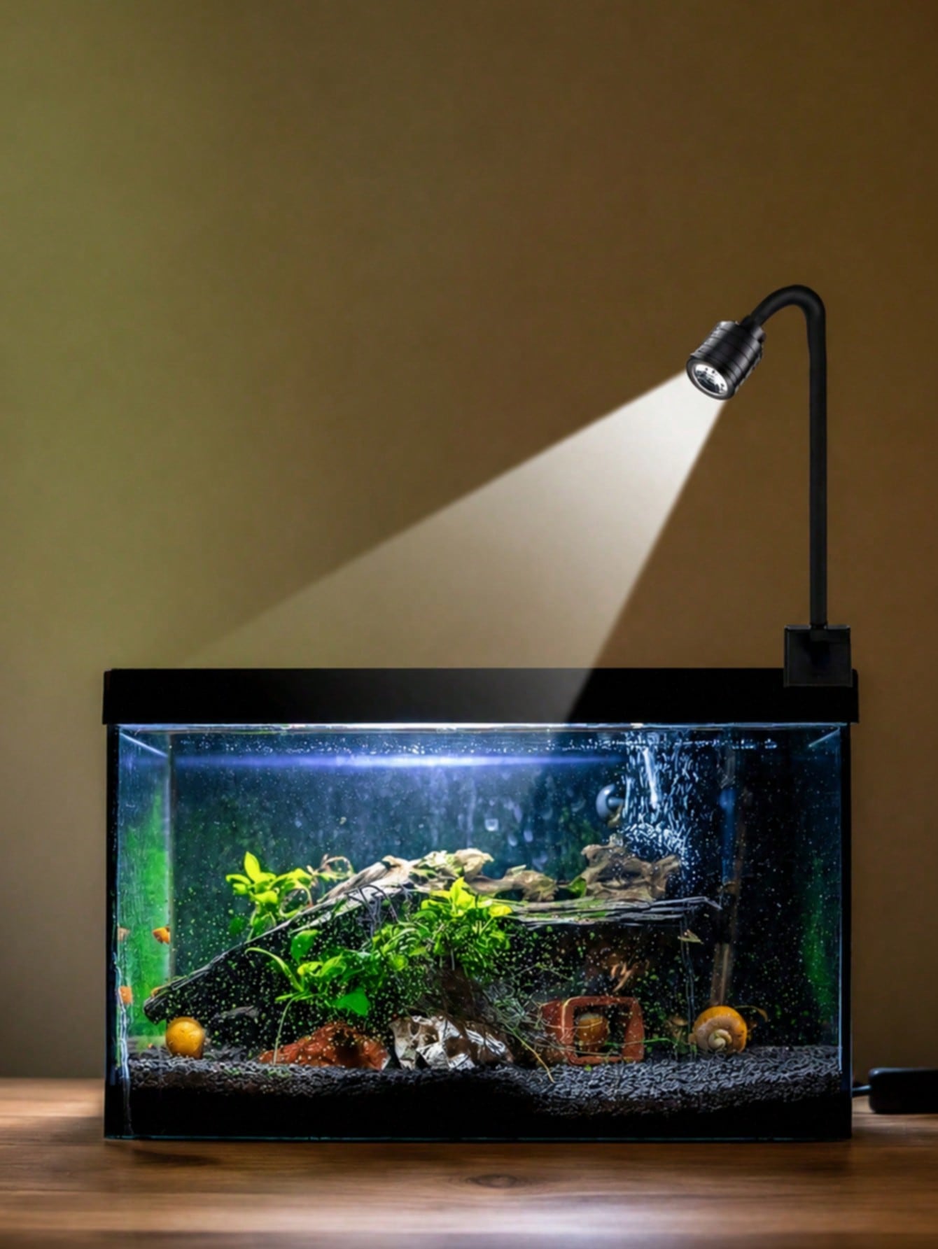 ไฟตู้ปลาแบบ USB, ไฟสปอตไลท์ซูม - Aquarium Goldfish บทวิจารณ์และราคา