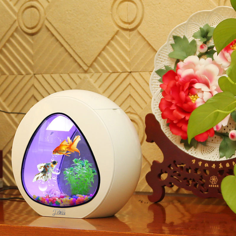 ตู้ปลาตั้งโต๊ะ Jialu ดีไซน์สร้ - Aquarium Fish Delivery บทวิจารณ์และราคา