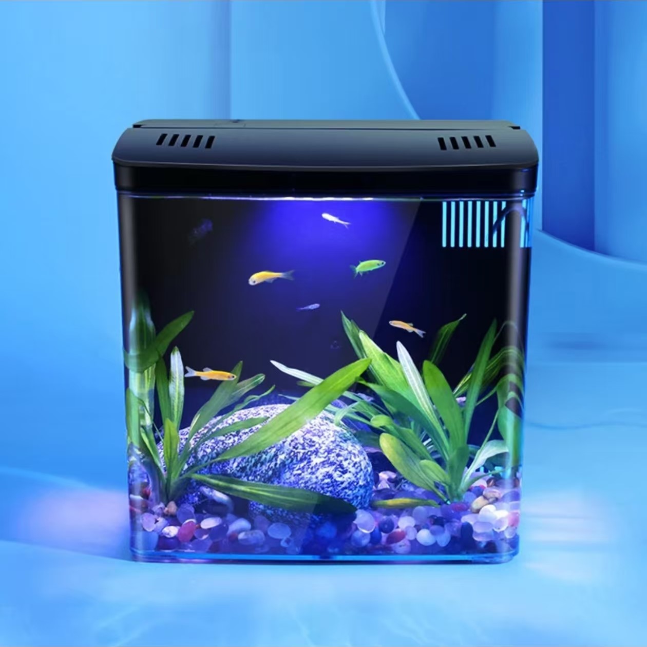 ถังปลาห้องนั่งเล่นขนาดเล็ก Min - Aquarium Fish For Sale บทวิจารณ์และราคา