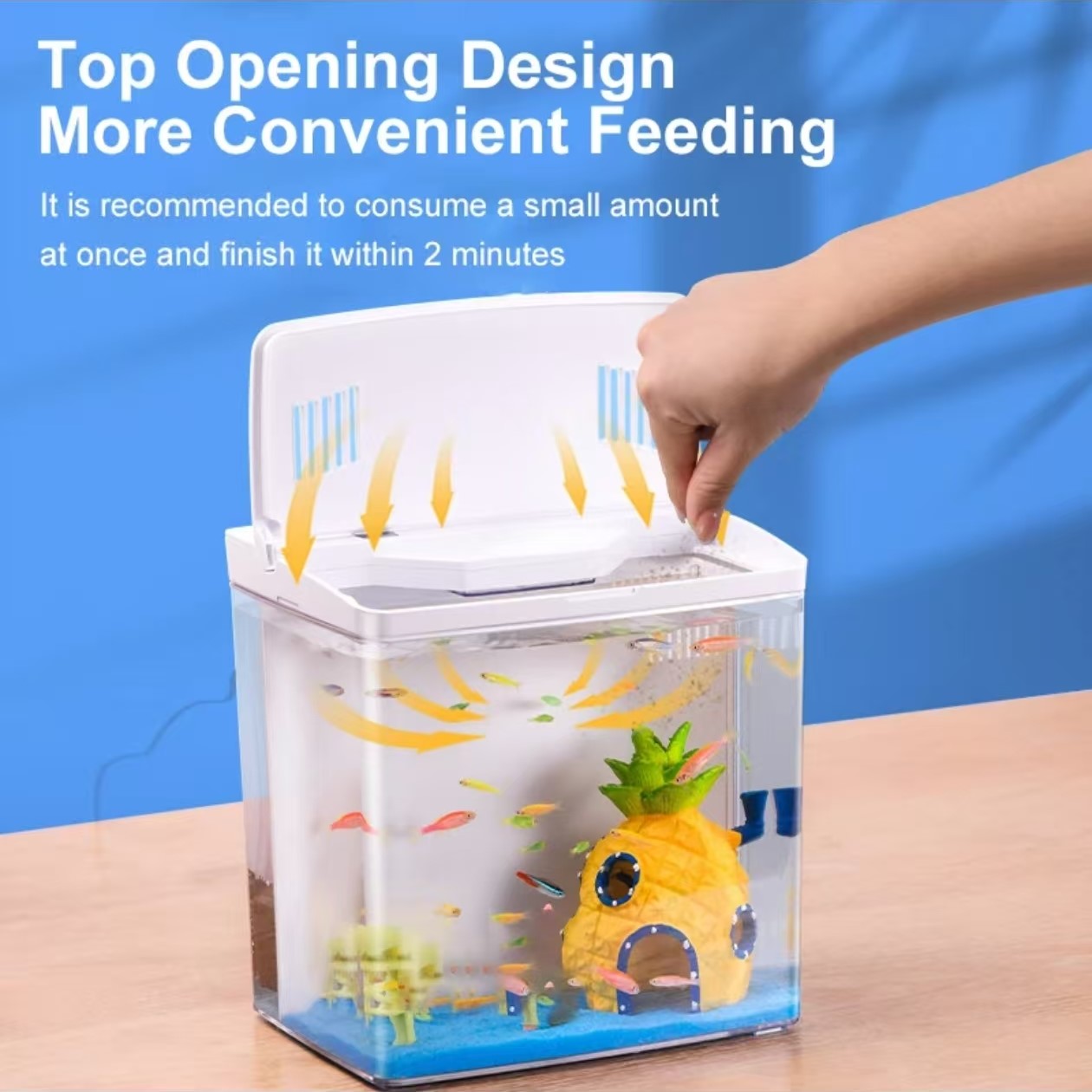 ถังปลาห้องนั่งเล่นขนาดเล็ก Min - Aquarium Fish For Sale บทวิจารณ์และราคา