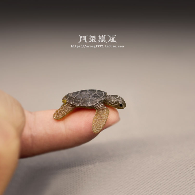 Marine Life Sea Turtle ชุดเครื - Aquarium Fish Japan บทวิจารณ์และราคา