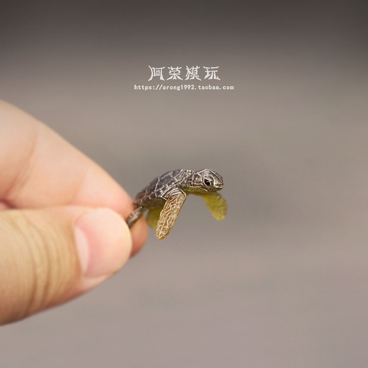 Marine Life Sea Turtle ชุดเครื - Aquarium Fish Japan บทวิจารณ์และราคา