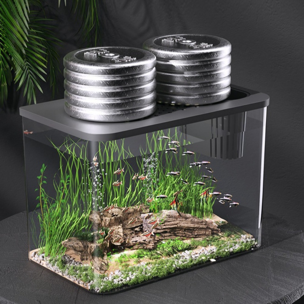 ถังเลี้ยงปลา + ABS ถังน้ำนิเวศ - Aquarium Fish For Sale บทวิจารณ์และราคา