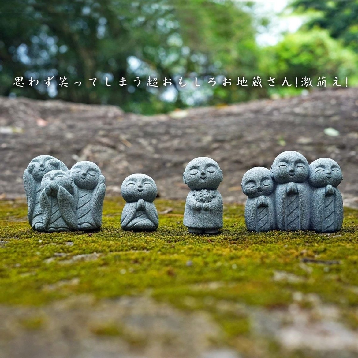 ตู้ปลาญี่ปุ่นน่ารักพร้อมของตกแ - Aquarium Fish Japan บทวิจารณ์และราคา