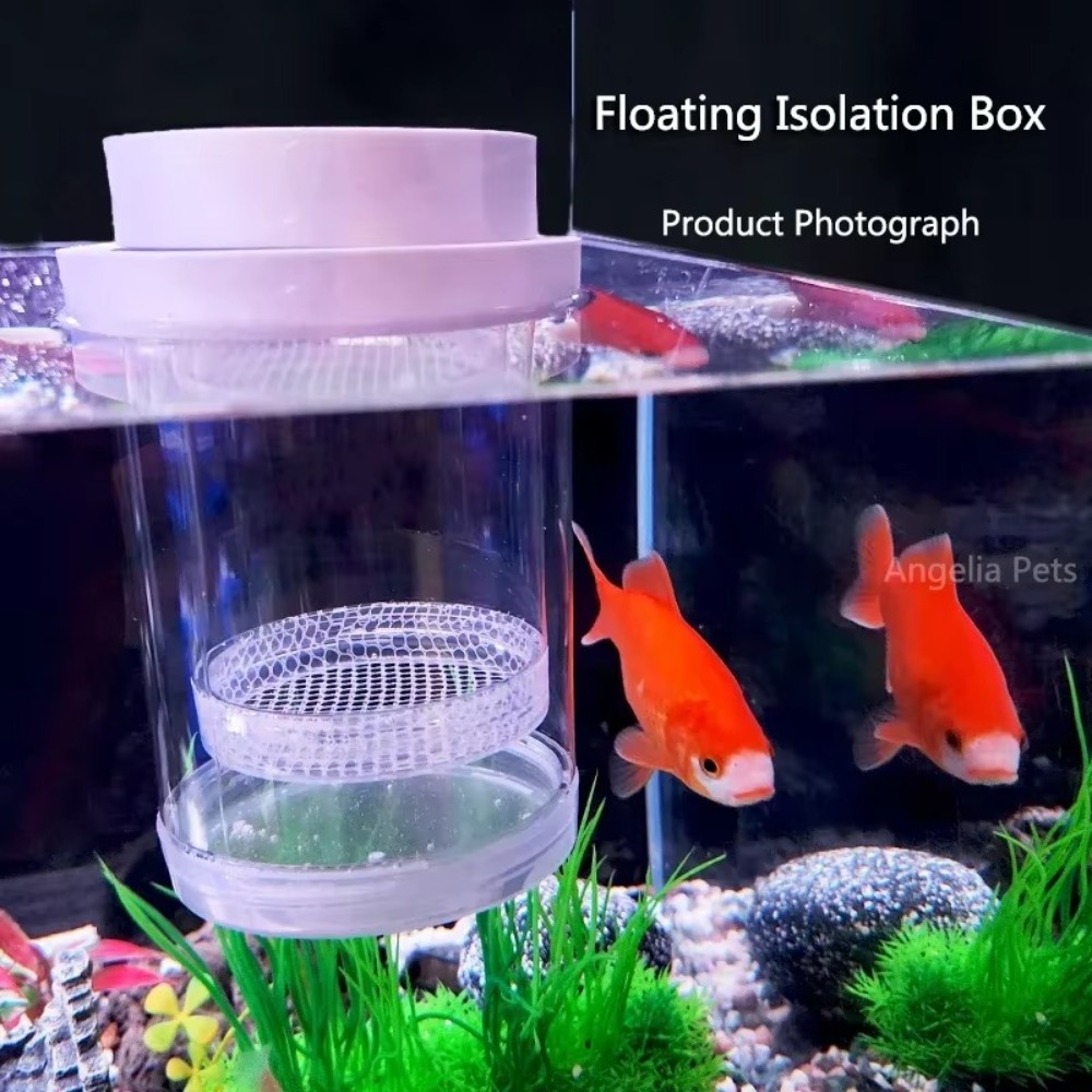พลาสติกลอยปลา Breeding การแยกก - Aquarium Fish Waste Collector บทวิจารณ์และราคา
