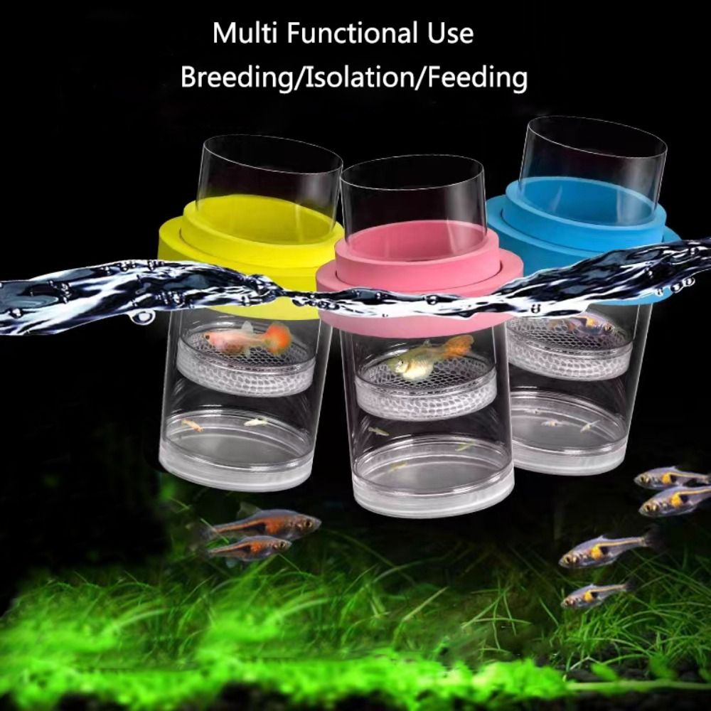 พลาสติกลอยปลา Breeding การแยกก - Aquarium Fish Waste Collector บทวิจารณ์และราคา