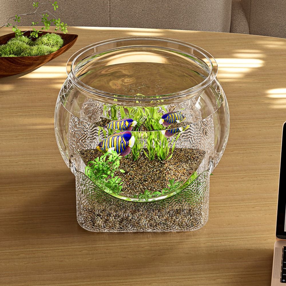ตู้ปลาทรงกลมใสพิเศษ ถอดประกอบไ - Aquarium Goldfish บทวิจารณ์และราคา