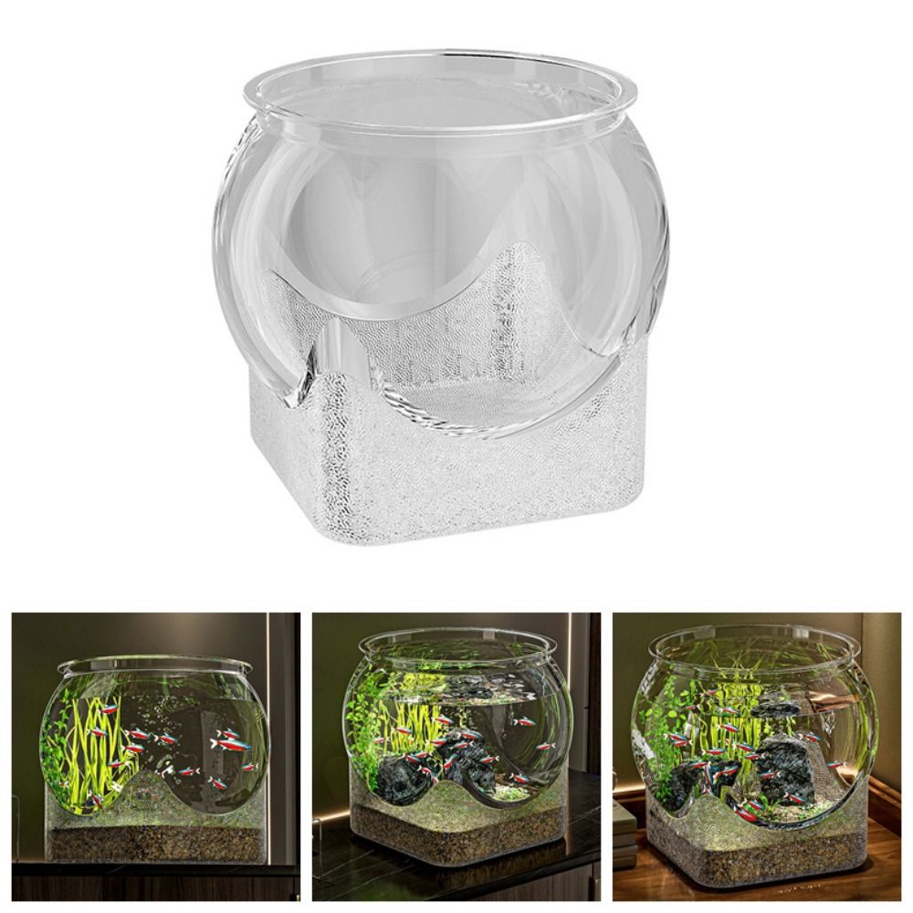 ตู้ปลาทรงกลมใสพิเศษ ถอดประกอบไ - Aquarium Goldfish บทวิจารณ์และราคา