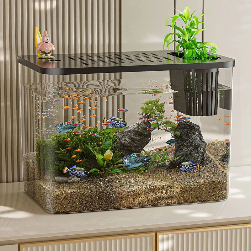 PET + ABS ถังปลาใหม่โปร่งใสพร้ - Aquarium Goldfish บทวิจารณ์และราคา