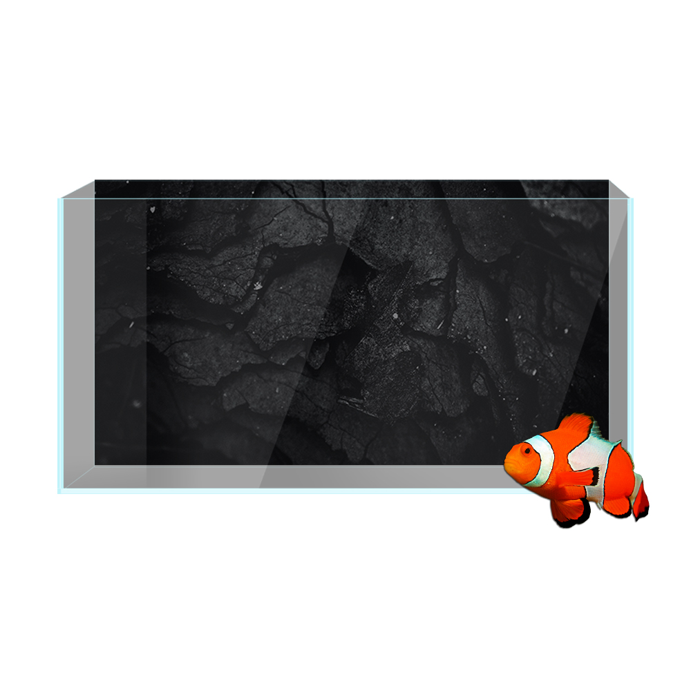 พิพิธภัณฑ์สัตว์น้ําสติกเกอร์พื - Aquarium Fish Wallpaper Hd บทวิจารณ์และราคา