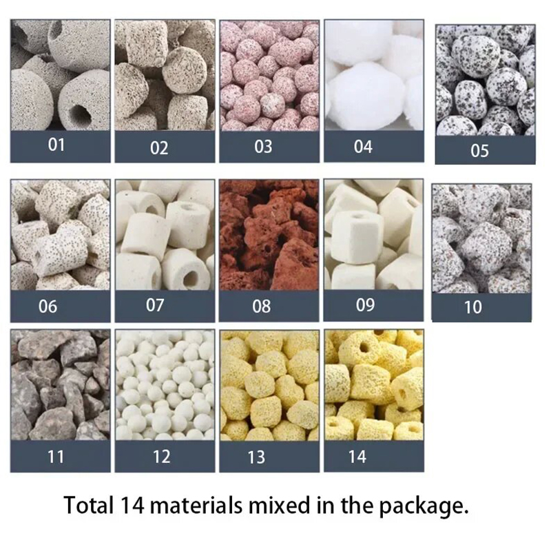 250g 500g 1000g 14 ประเภท Aqua - Aquarium Fish For Sale บทวิจารณ์และราคา