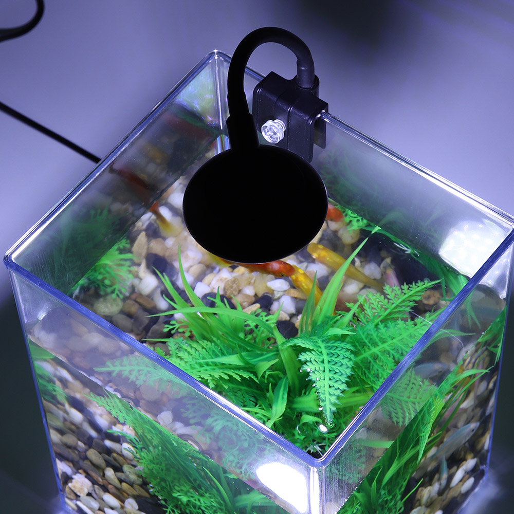ชุดถังปลาเดสก์ท็อป USB-ติดตั้ง - Aquarium Goldfish บทวิจารณ์และราคา