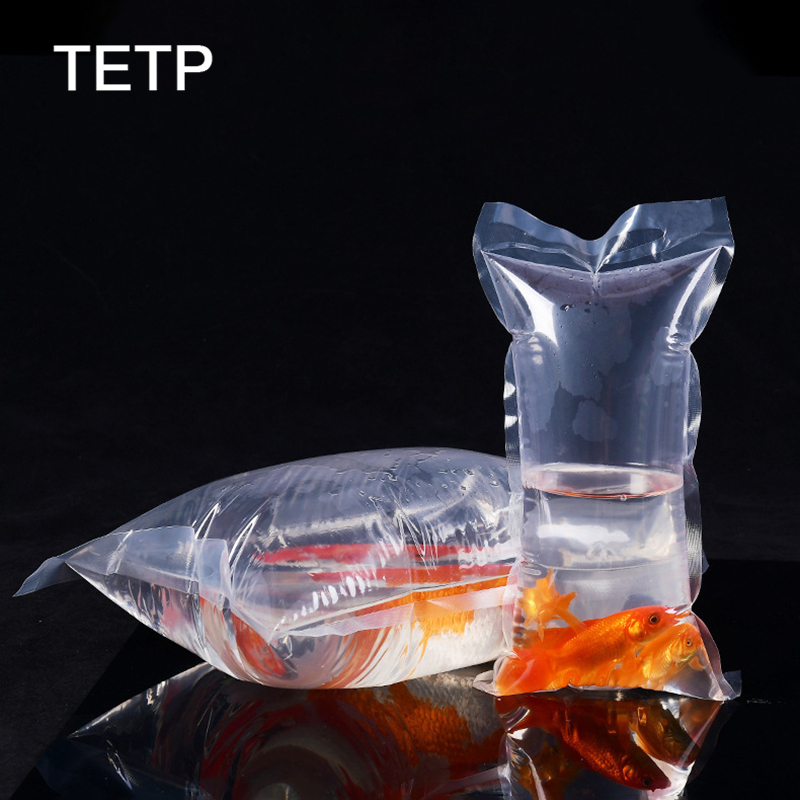 Tetp 100ชิ้นปลาสวยงามโปร่งใสสำ - Aquarium Fish Delivery บทวิจารณ์และราคา
