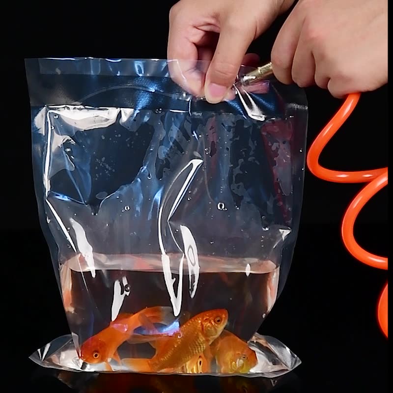 Tetp 100ชิ้นปลาสวยงามโปร่งใสสำ - Aquarium Fish Delivery บทวิจารณ์และราคา