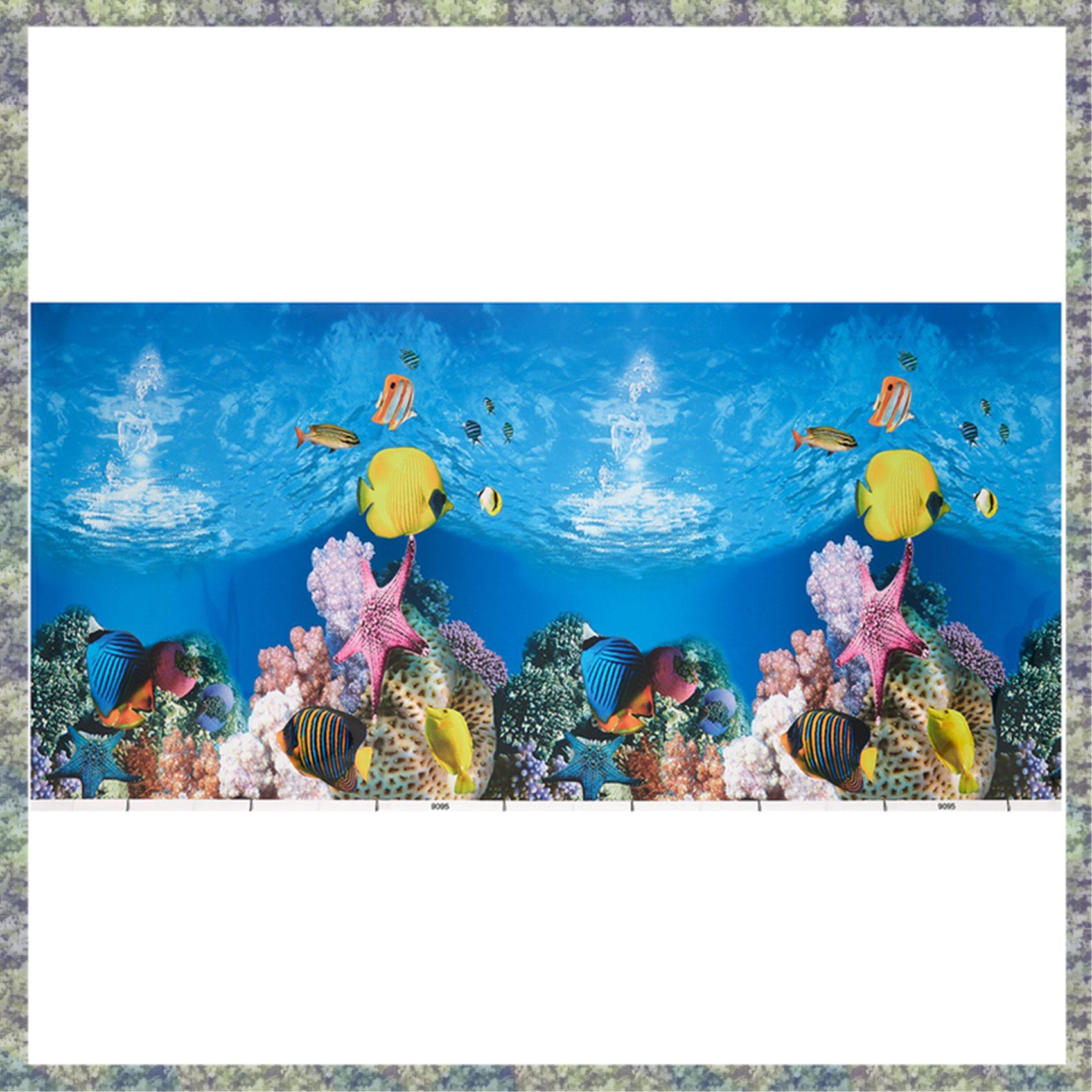 WON Aquarium พื้นหลังกระดาษ HD - Aquarium Fish Wallpaper Hd บทวิจารณ์และราคา