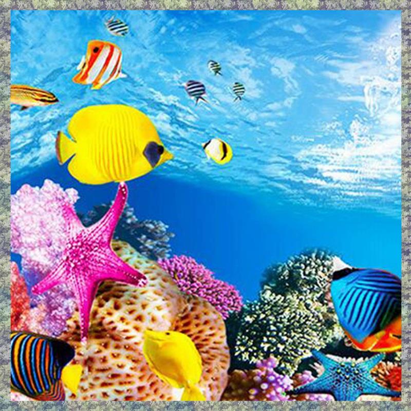 WON Aquarium พื้นหลังกระดาษ HD - Aquarium Fish Wallpaper Hd บทวิจารณ์และราคา