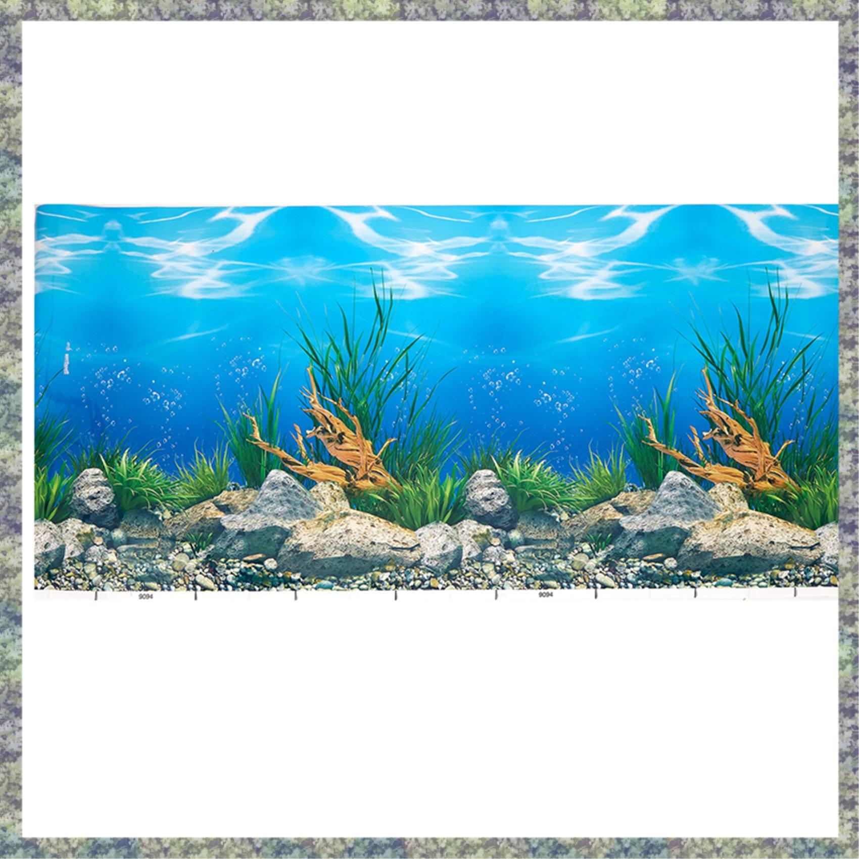 WON Aquarium พื้นหลังกระดาษ HD - Aquarium Fish Wallpaper Hd บทวิจารณ์และราคา